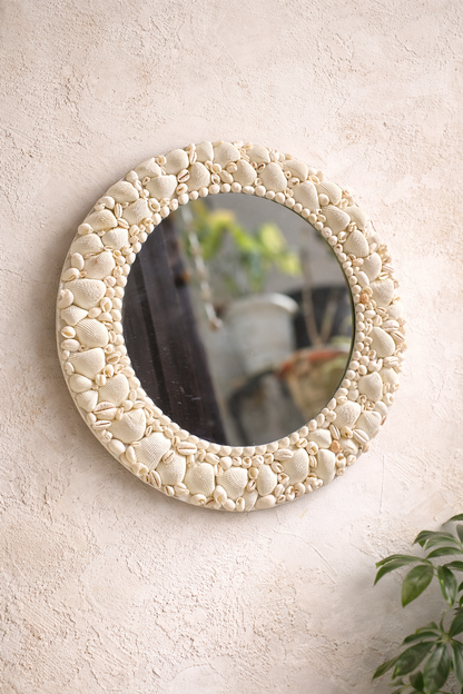 Sea shell Pure white mirror - Shellkrafts