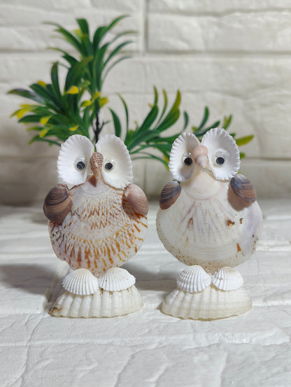 Coastal Wisdom Shell Owl Decor - Shellkrafts