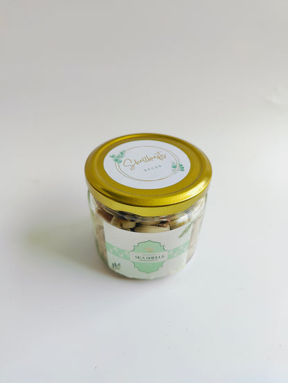 Natural Cowrie Shells – Premium Handpicked Sea Shells for Crafts, Jewelry & Decor - Shellkrafts