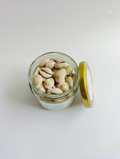 Natural Cowrie Shells – Premium Handpicked Sea Shells for Crafts, Jewelry & Decor - Shellkrafts