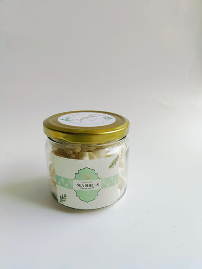 Natural White Sea Shells – Premium Mini Shells for Crafts, Jewelry & Home Décor 180grms - Shellkrafts