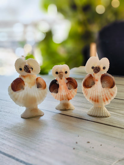 Coastal Wisdom Shell Owl Decor - Shellkrafts