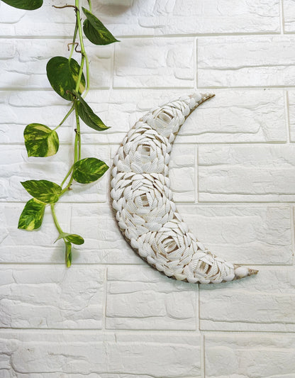Shellkrafts Crenscent Moon Hanger|Wall hanging 12inch - Shellkrafts