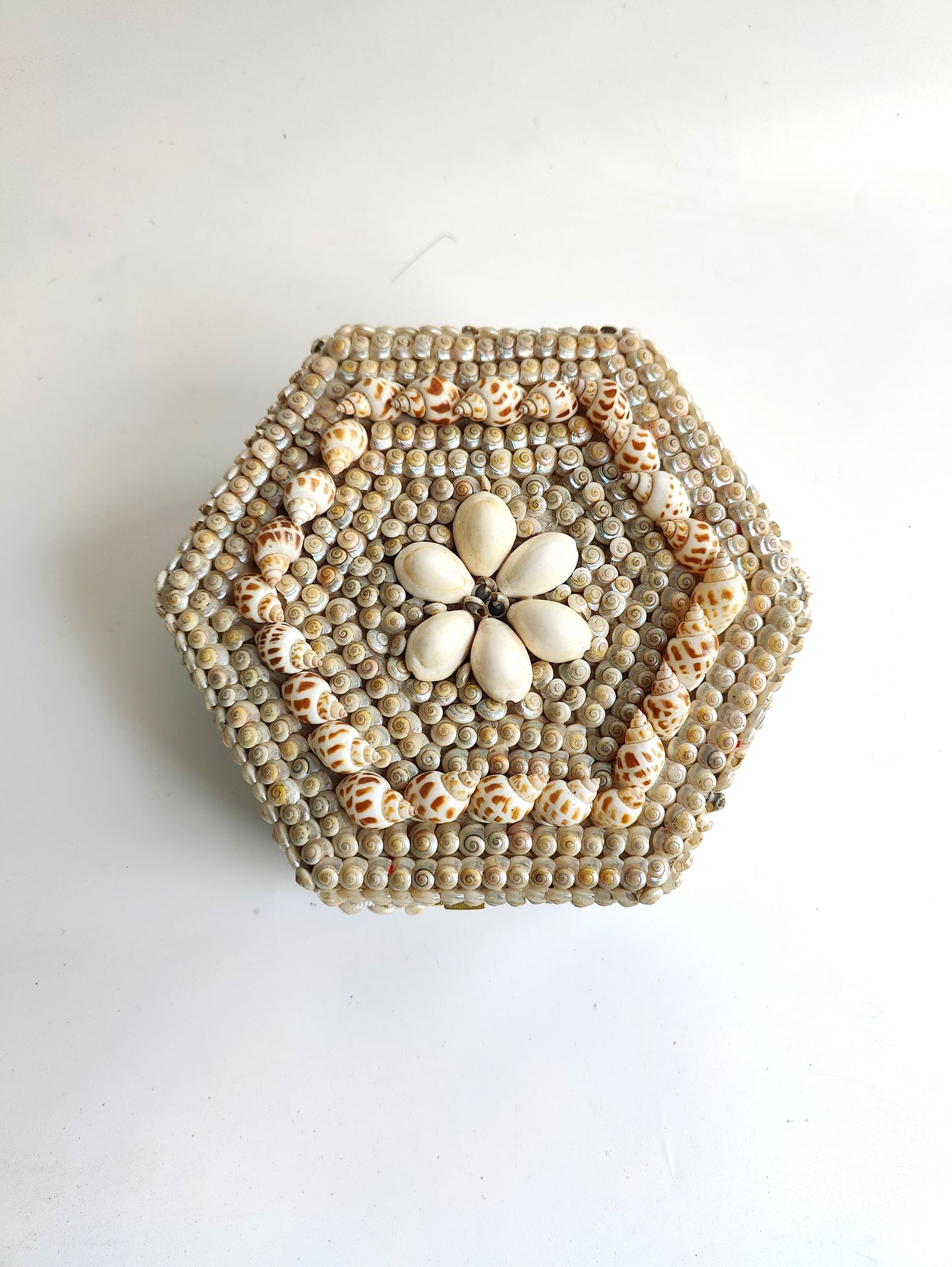 Coastal Charm: Hexagon Shell Trinket Box